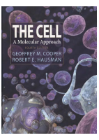 Cell A Molecular Approach, 4th Edition .pdf